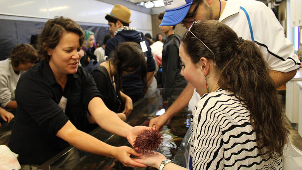 a child touches a sea urchin in a tank of water