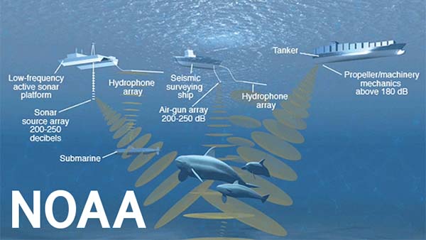 graphic showing noise coming from various vessels