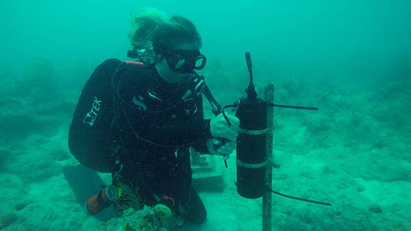 A scuba diver holding a cylindrical piece of scientific equipment and attaching it to a structure affixed to the seafloor