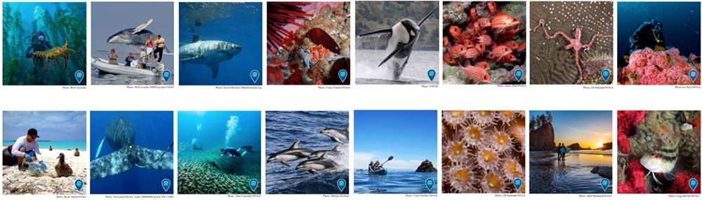a collection of photos from around the national marine sanctuary system
