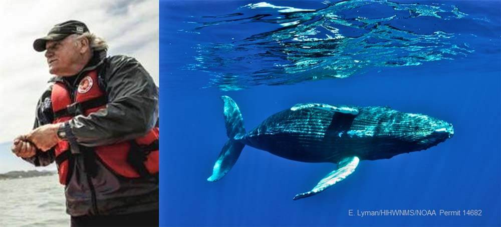 left: a man in a life jacket; right: a humpback whale;