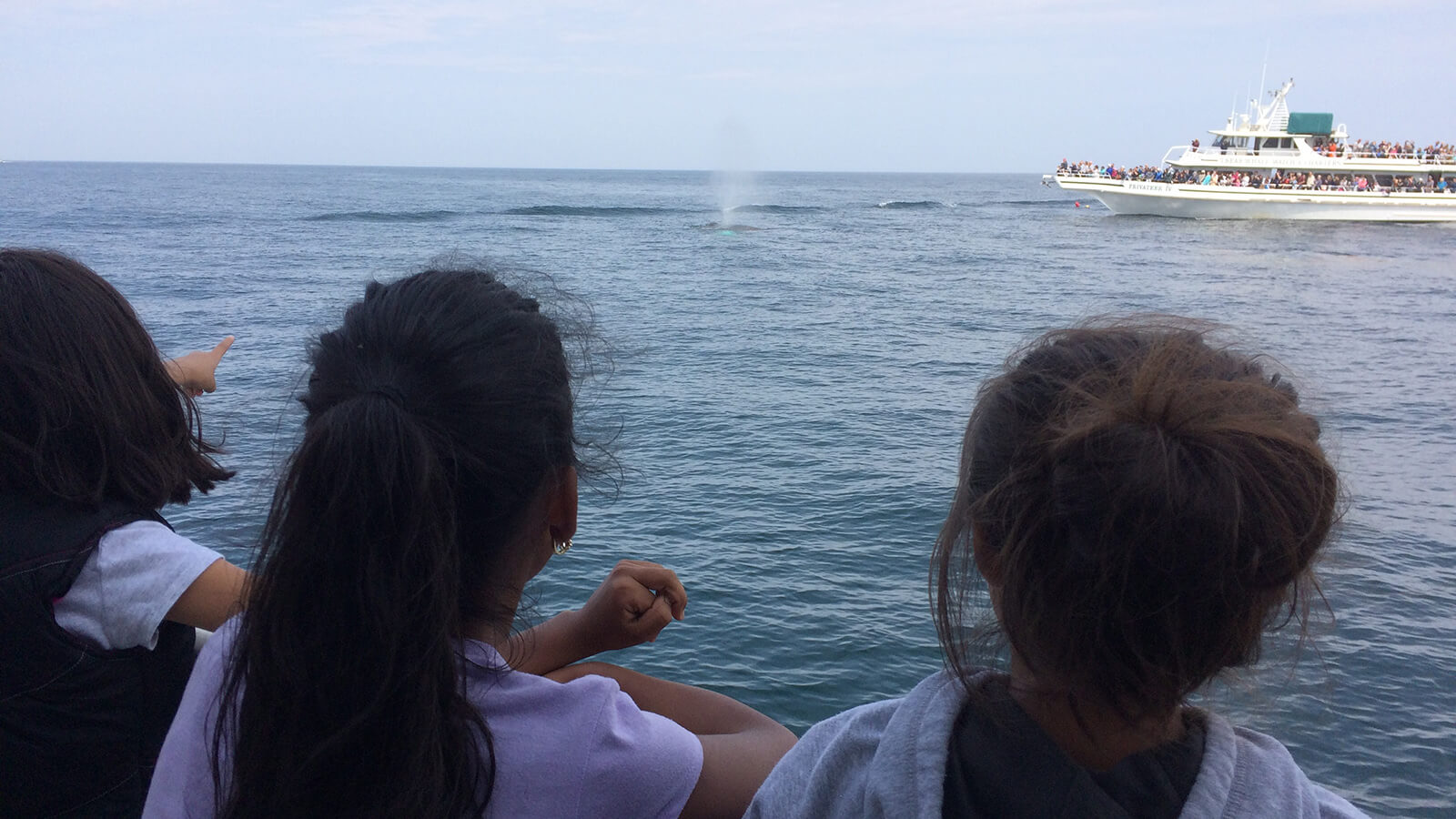 kids looking out over the water at a whale on a whale watching boat