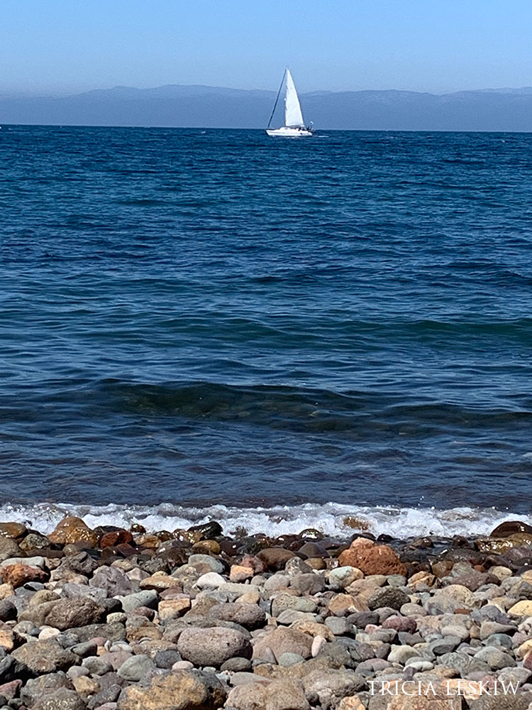 white sailboat on the water, taken from shore