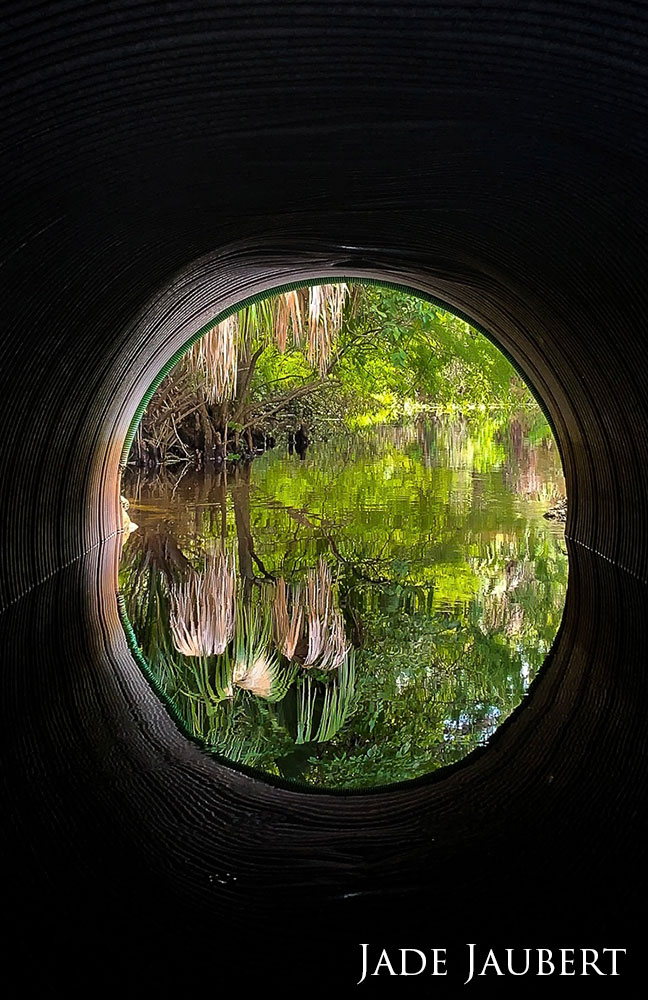 shot through a tunnel, green trees reflected on water