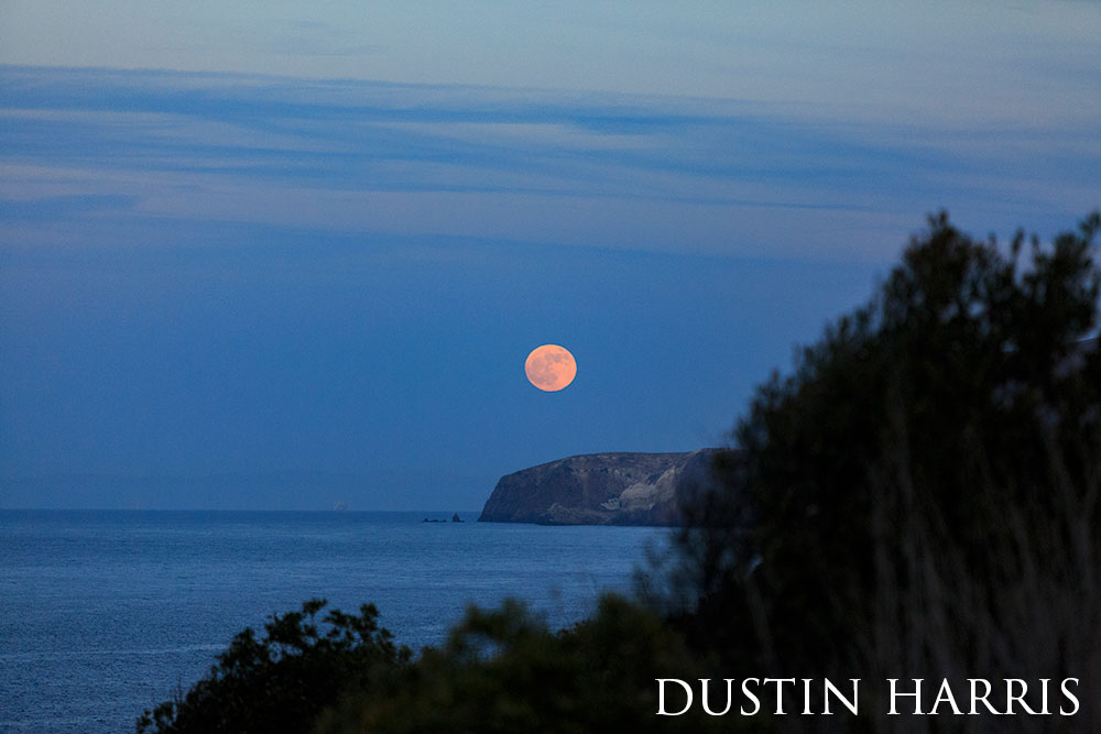 an orange full moon over the cliffs, above the ocean