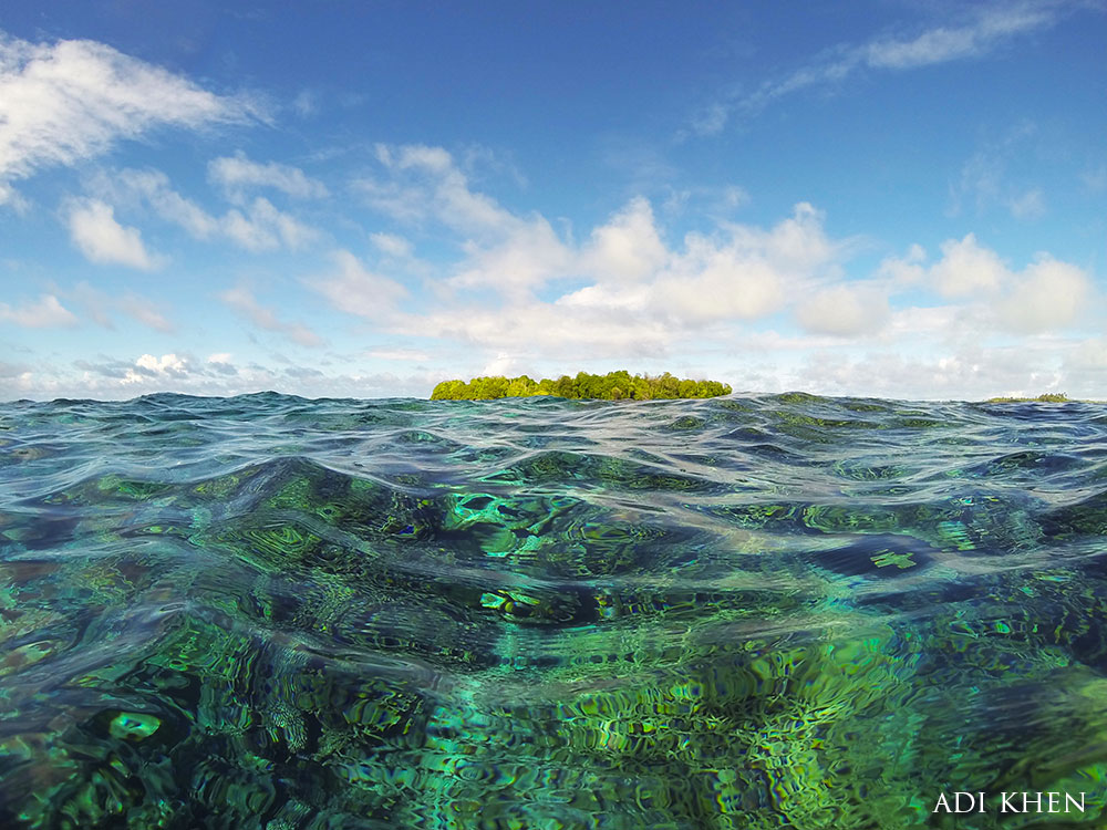 above and below water on Palmyra Atoll