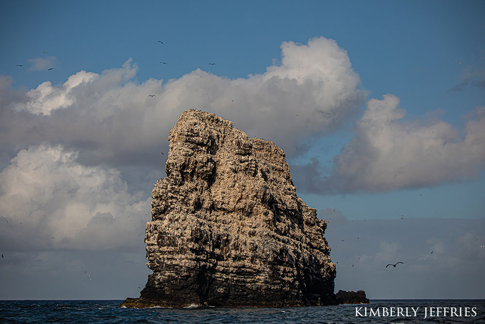 one tall rock tower above the ocean, with birds flying