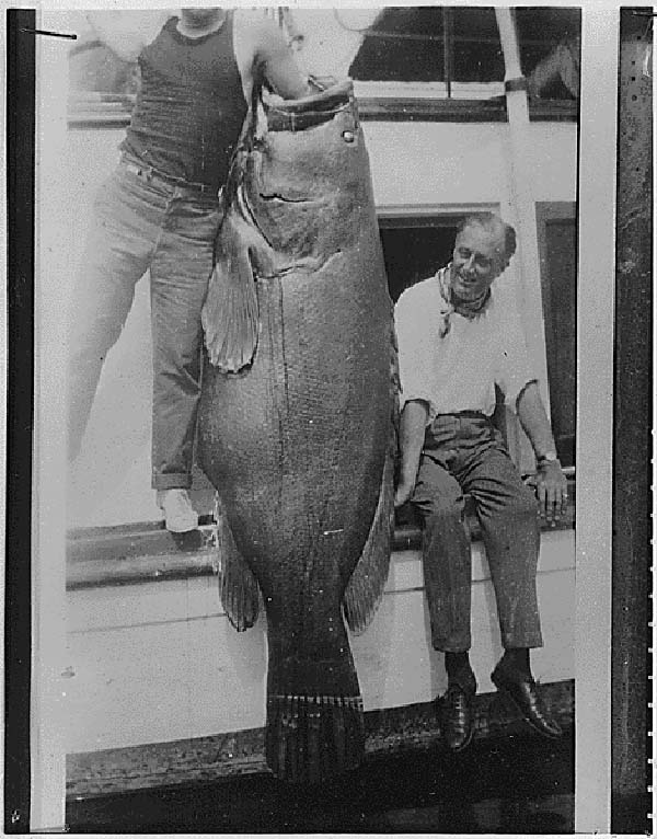 Franklin Delano Roosevelt poses next a large freshly caught fish