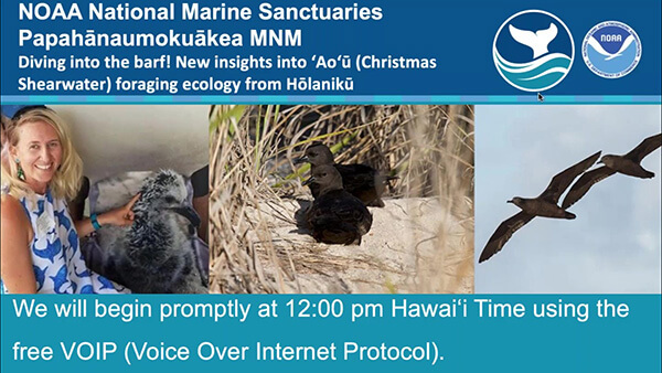 Presenter slide for Diving into the barf! New insights into ʻAoʻū (Christmas Shearwater) foraging ecology from Hōlanikū webinar with photo of presenter (woman with blonde hair wearing a white dress with blue whale sharks pointing to a poster of a shearwater bird).