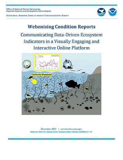 Webenizing conditon reports cover
