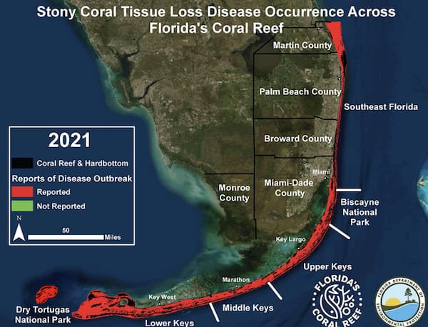 Coral reef disease map