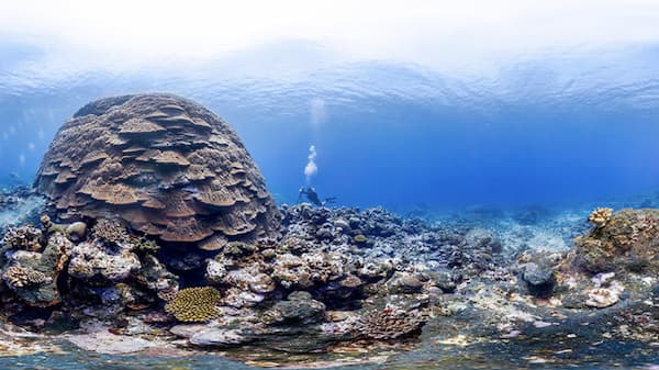 American samoa coral reefs