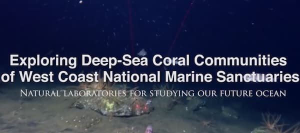 Text cover image of deep sea