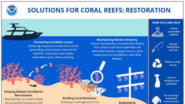 Coral reef restoration poster