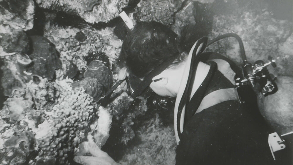black and white photo of a diver taking measurements of corals