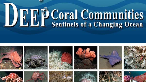 Deep coral poster