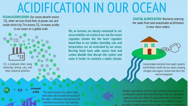 Ocean acidification poster
