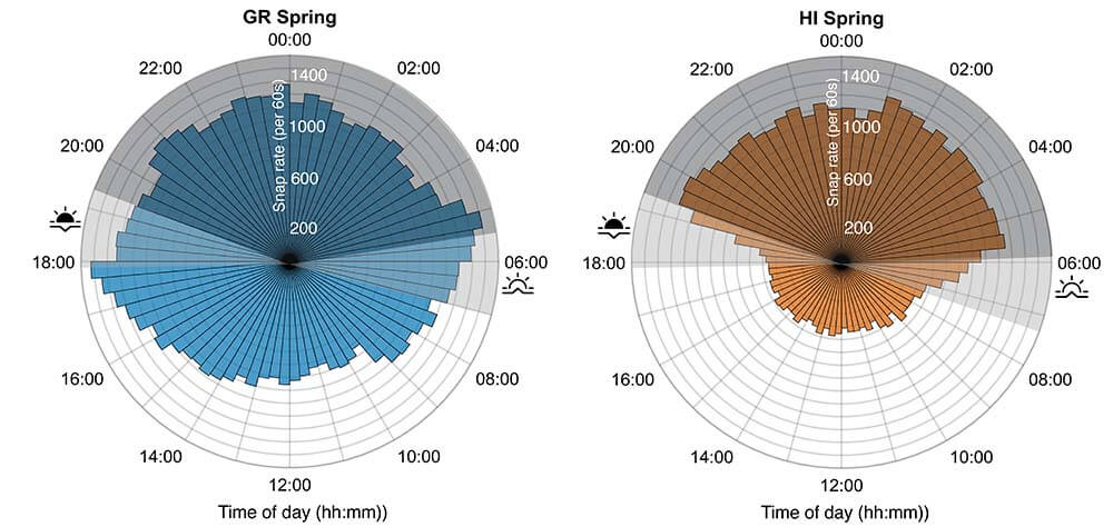 two graphs side by side that show rates of snapping at different times of day