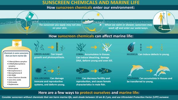 Skincare chemicals effect on the ocean