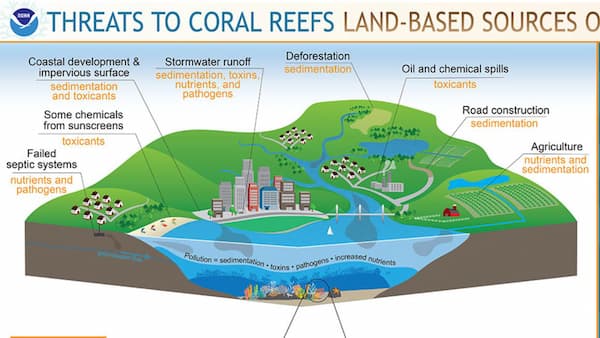 Threat to coral reef poster