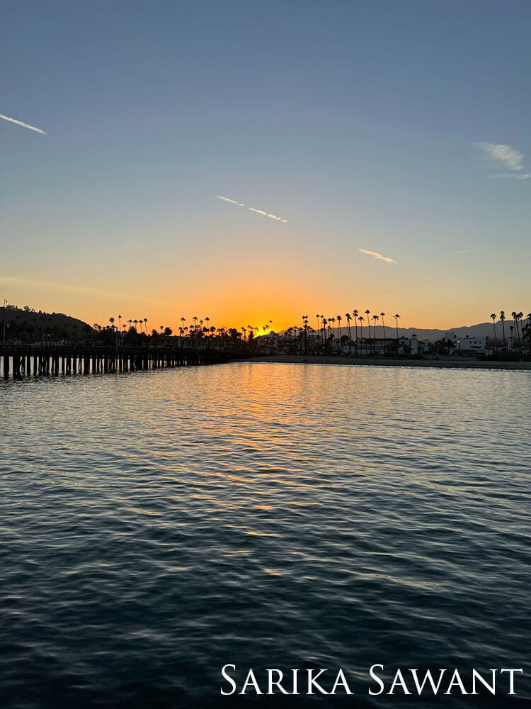 Palm trees and a pier at sunset.