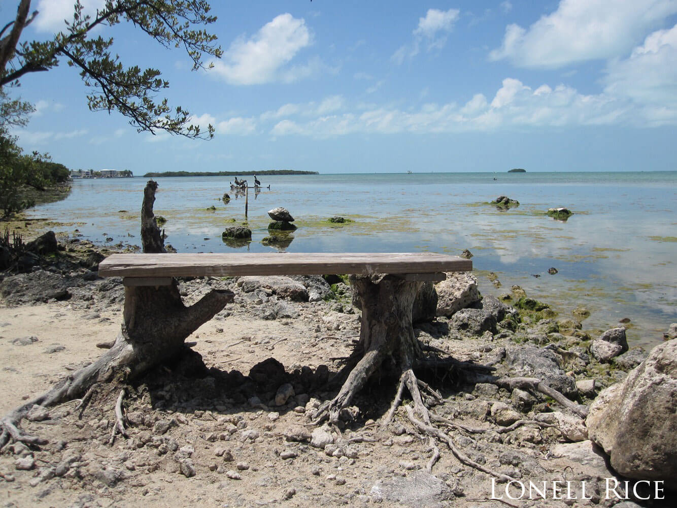 Makeshift table atop two tree stumps on a beach.