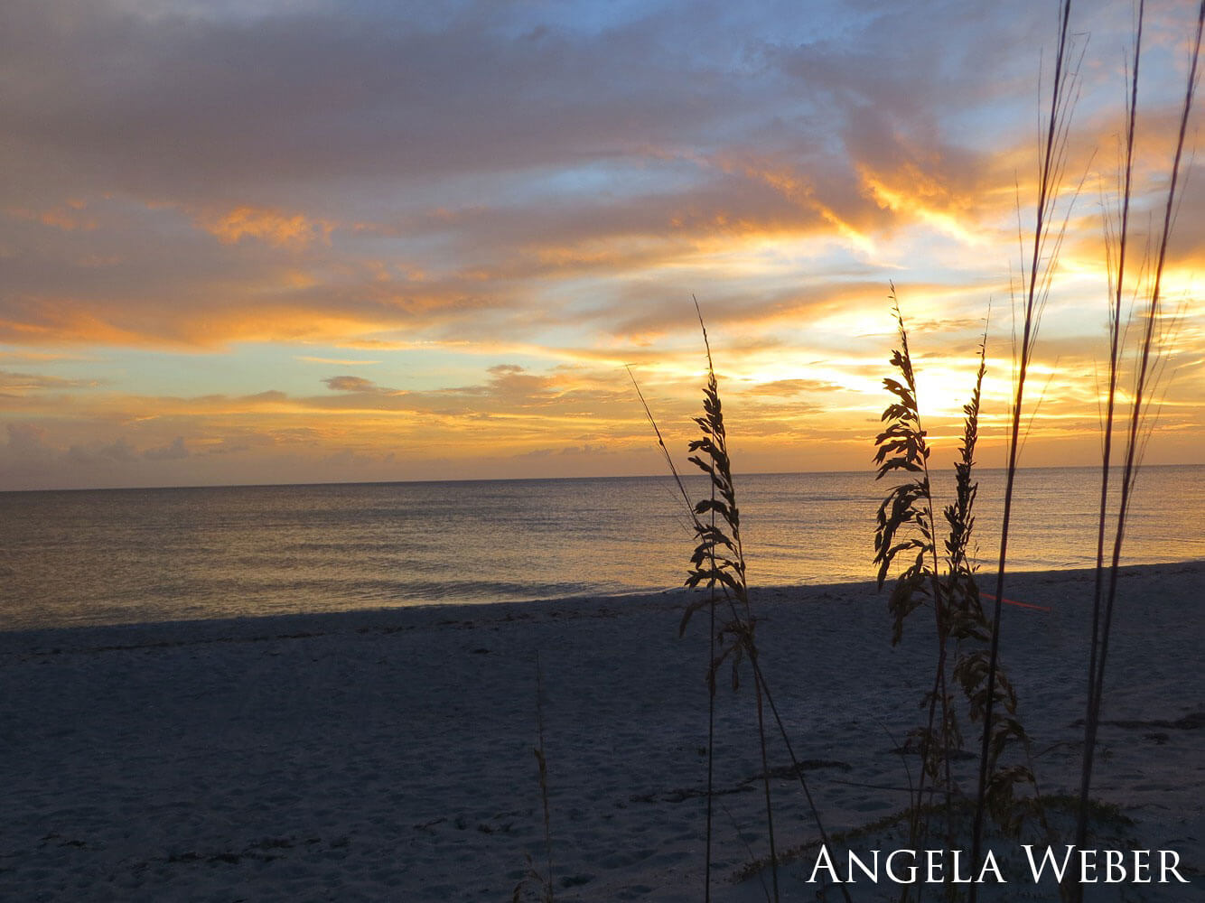 Sunset on a sandy beach with beach grass.