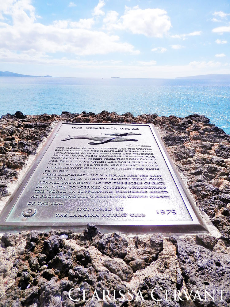 Humpback whale plaque with ocean in the background.