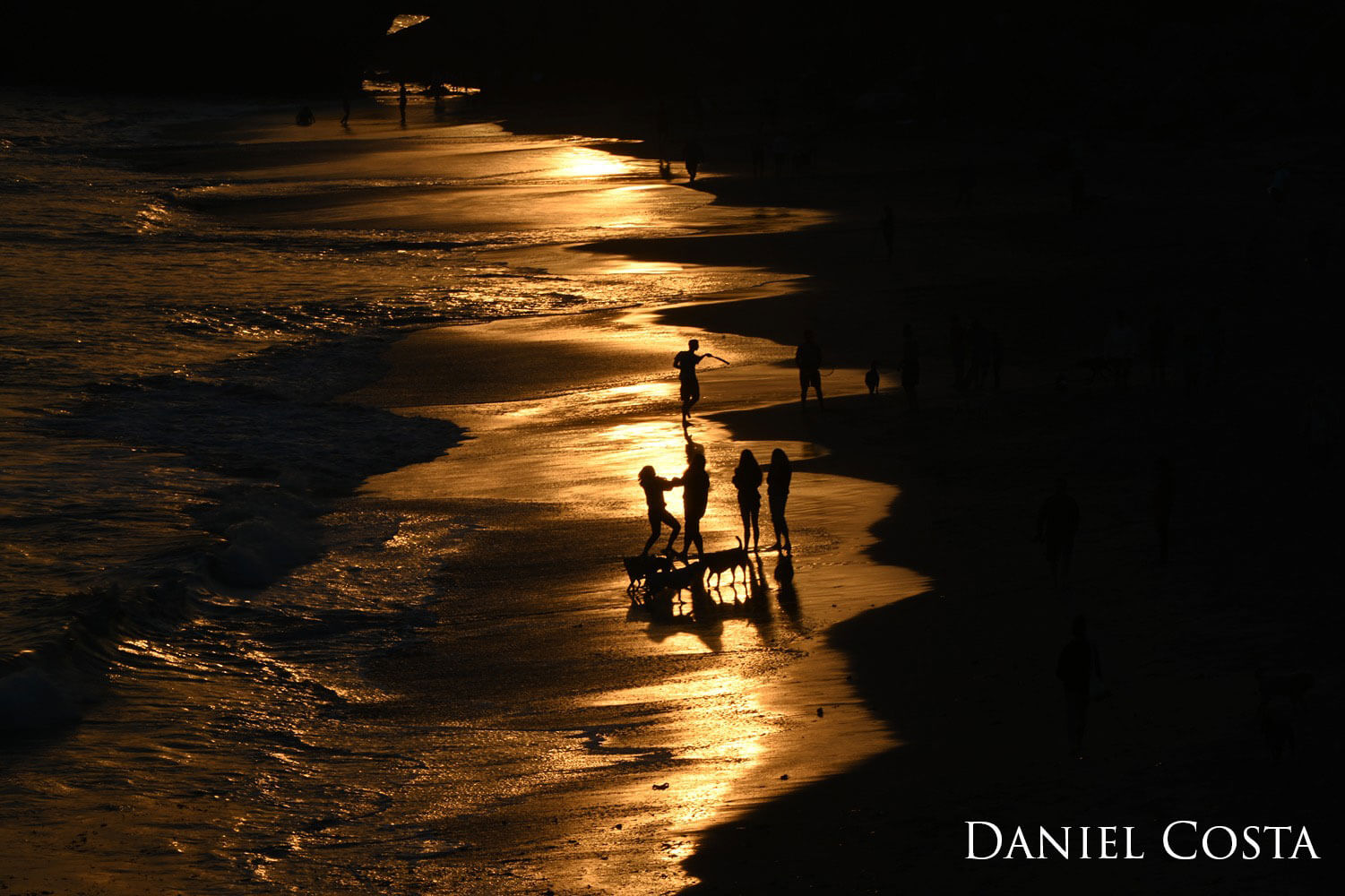 Silhouette of children and dogs playing on a beach as the sunset's reflection on small tidepools fills the sand.