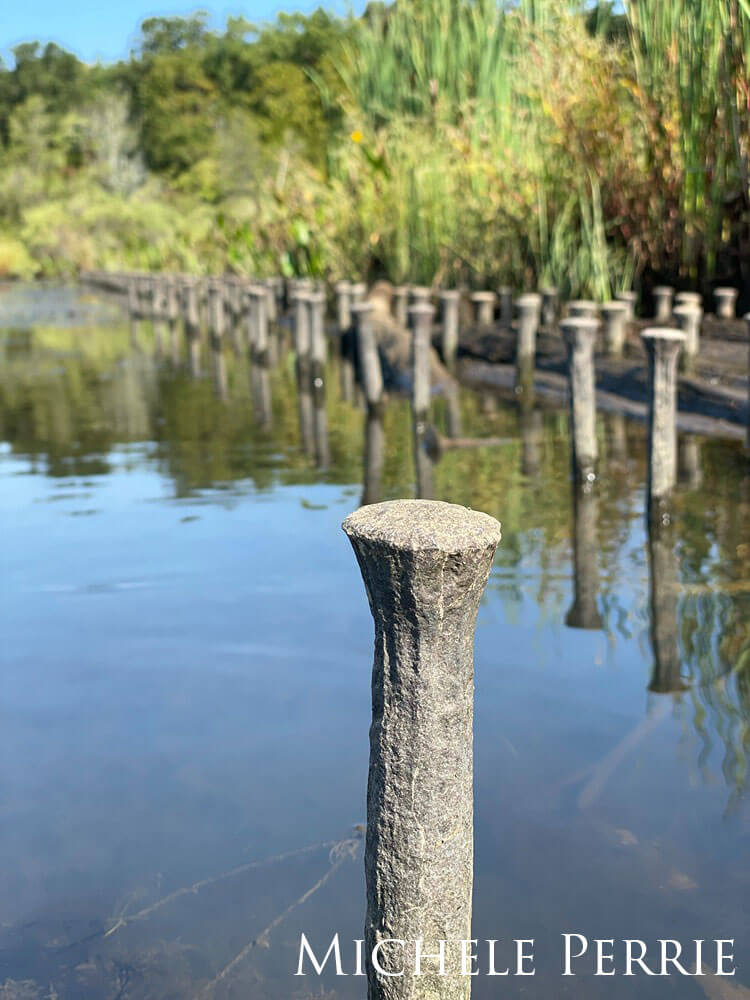 Pier posts sticking up out of the water.