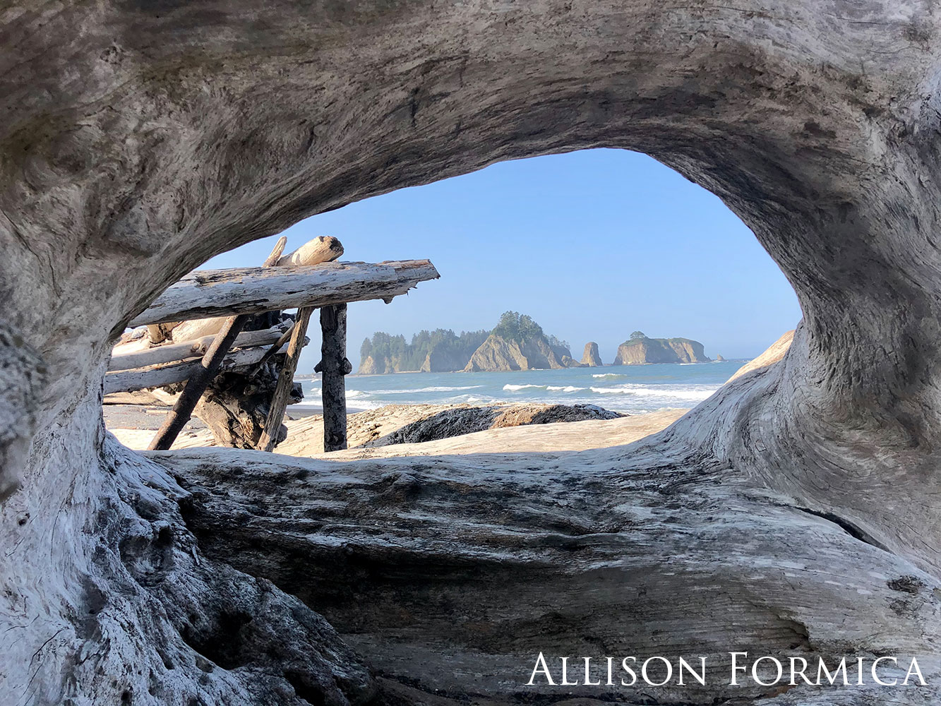 Distant islands through a driftwood frame. Photo is taken from inside a piece of driftwood on the beach.
