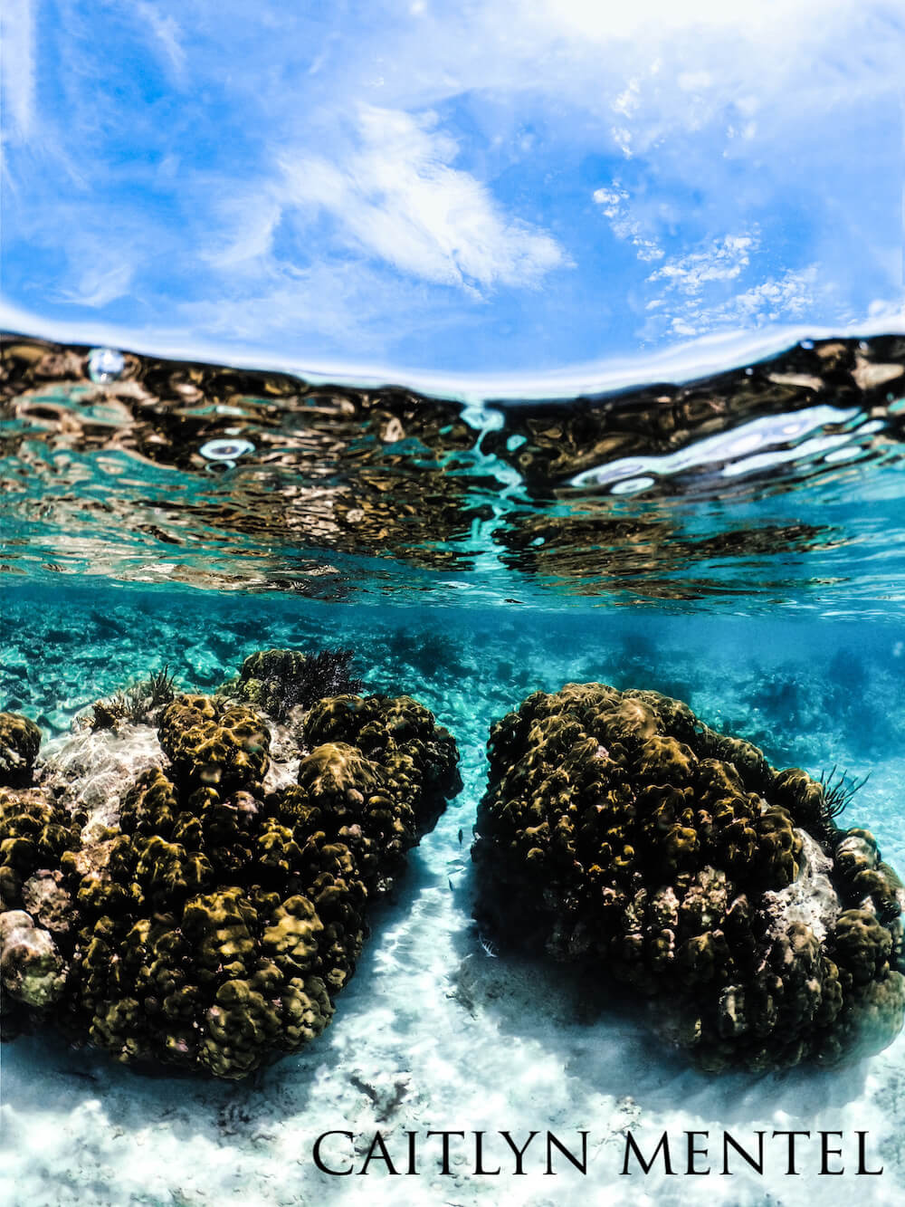 Over-under shot of coral heads in crystal clear ocean water.
