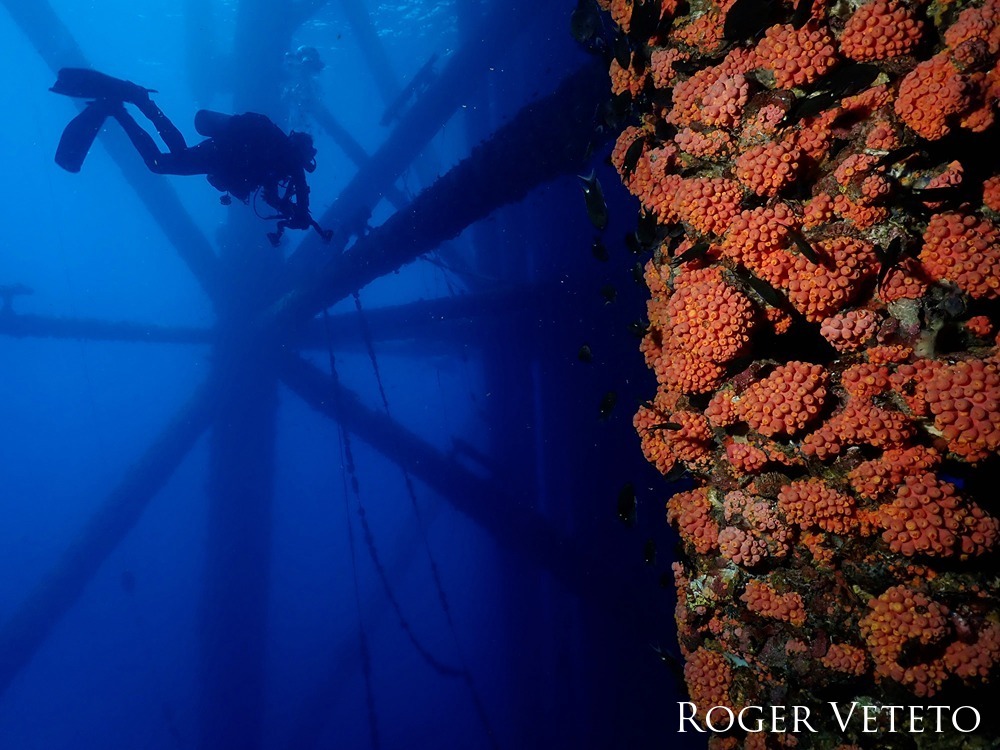Silhouette of diver with rig in the background near vibrant corals.