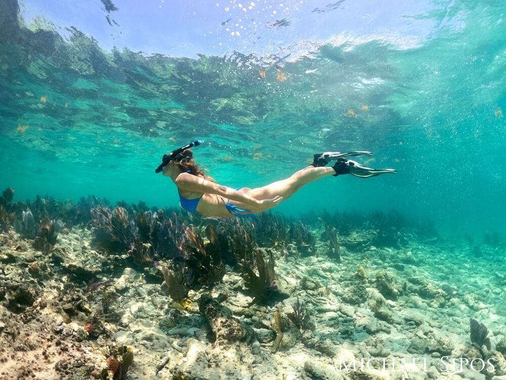 Underwater shot of snorkeler diving down to get a closer look at a reef.