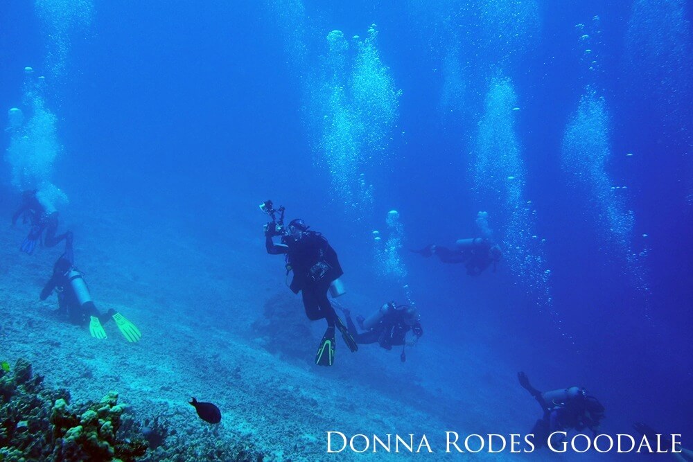 Group of divers underwater near reef.