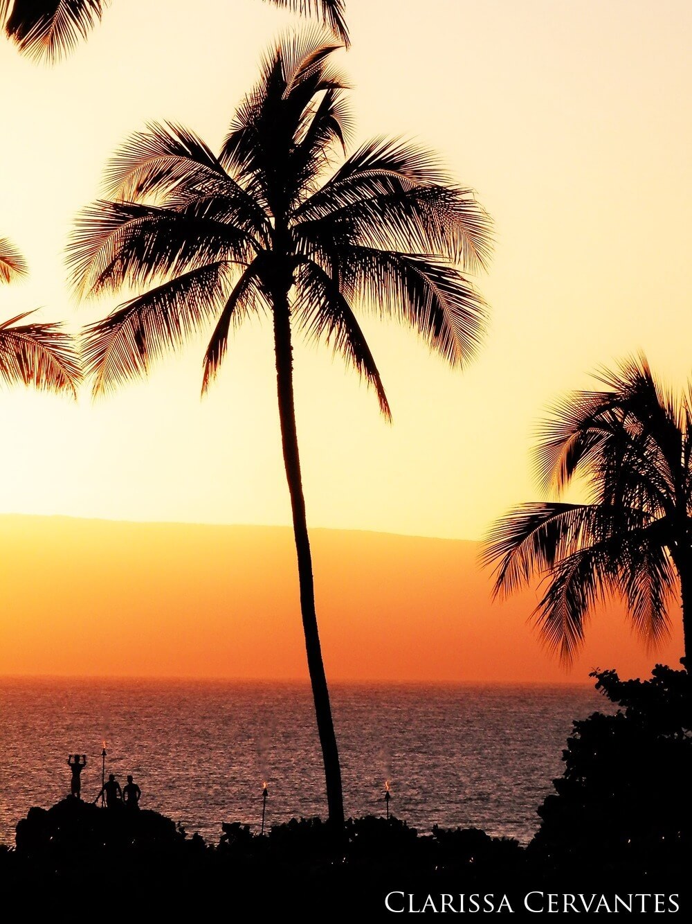 Palm tree silhouette with ocean horizon in the distance, orange and yellow skys as the sun sets.