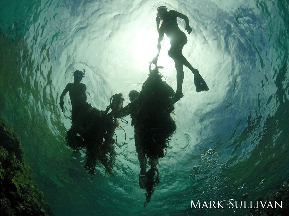 A group of divers swim to the surface of the ocean.