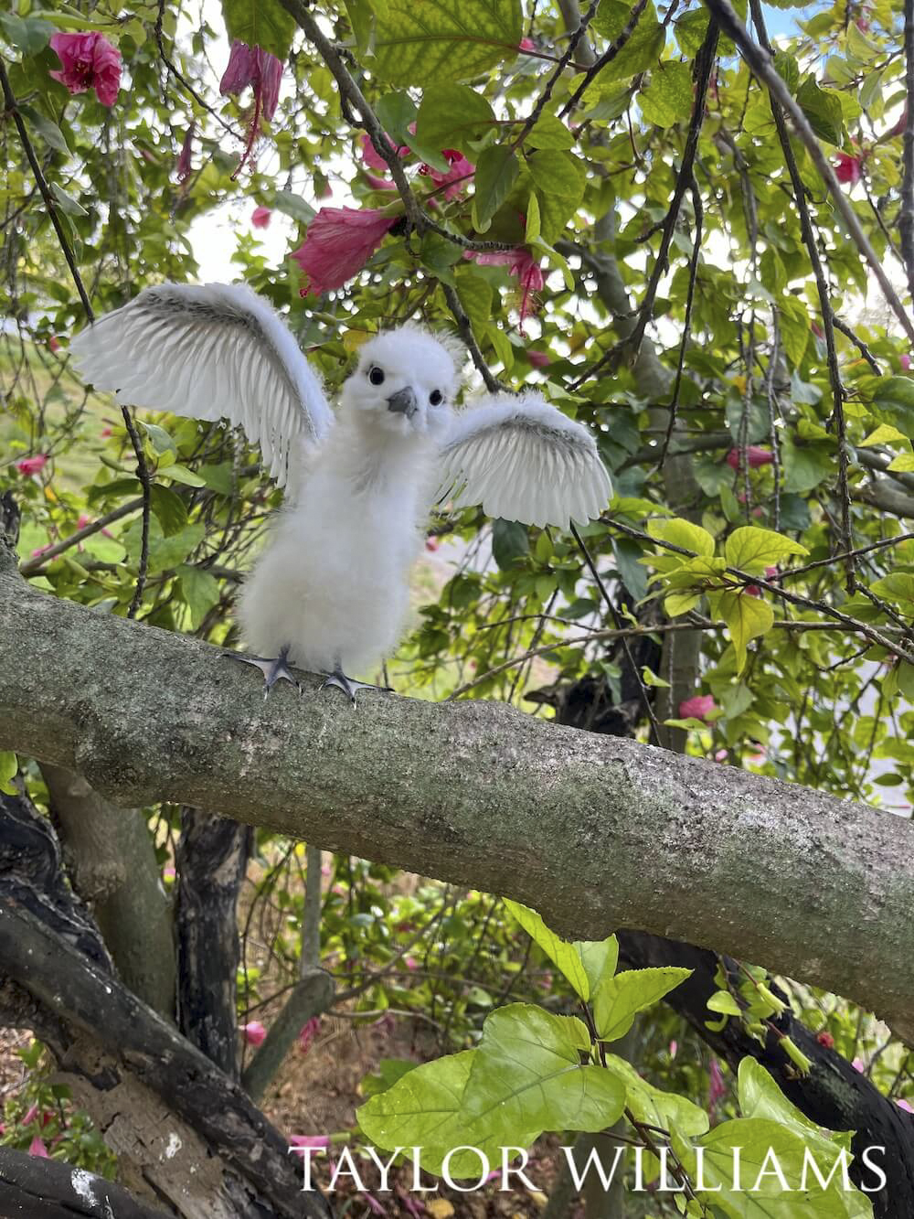 White tern chick learning how to take flight amongst a spread of foliage and flowers.