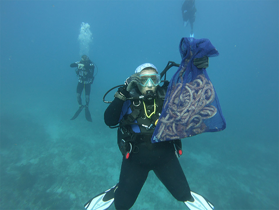 Scuba divers collecting marine debris underwater