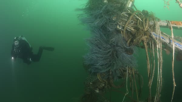 A diver looking at a shipwreck