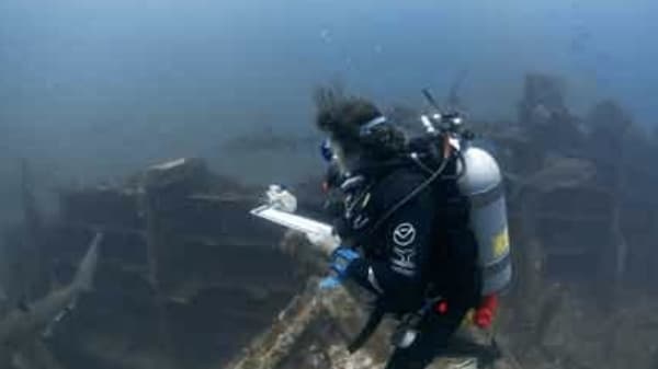 Diver analyzing shipwreck
