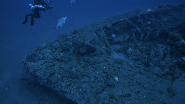 Diver next to a shipwreck