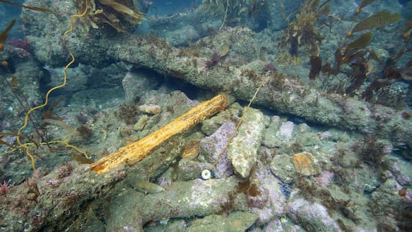 Shipwreck in reef