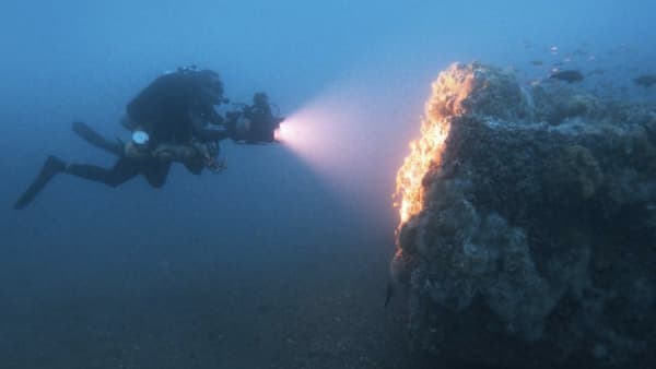 Diver looking at a coral reef