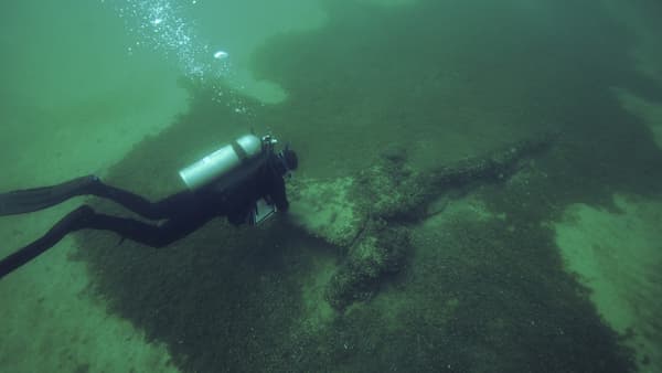 Diver finding a shipwreck