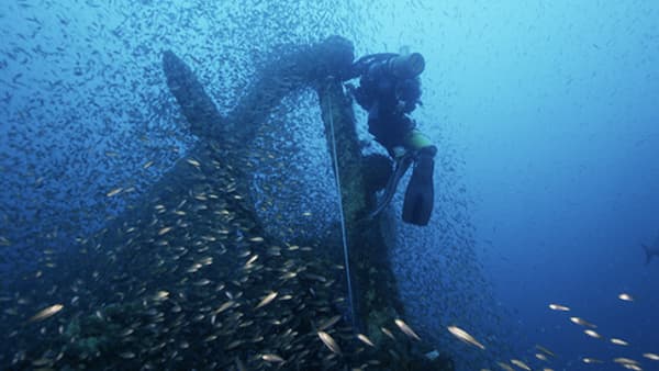 Diver next to a lot of ship and a shipwreck