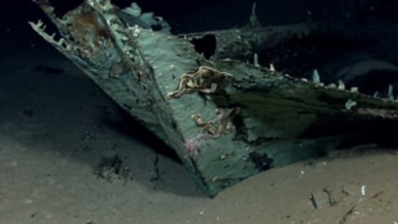 Shipwreck on the bottom of the ocean