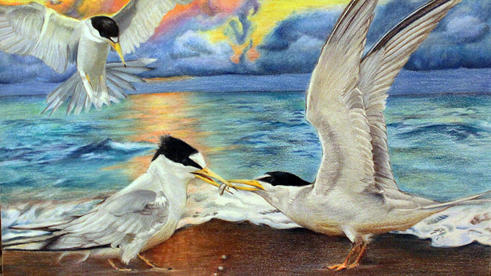 a painting showing a white bird with a black head using its beak to pass a fish to another bird standing on a sandy shoreline