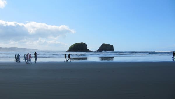 People walking on the beach shore