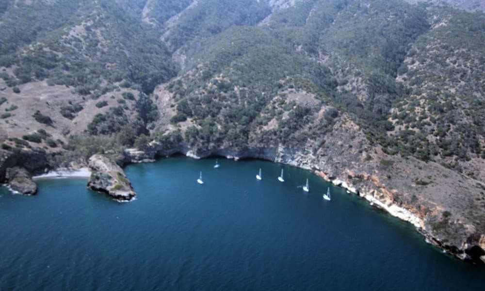 aerial view of sail boats along the coast